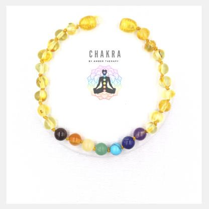 Chakra & Honey Amber Adult Bracelet