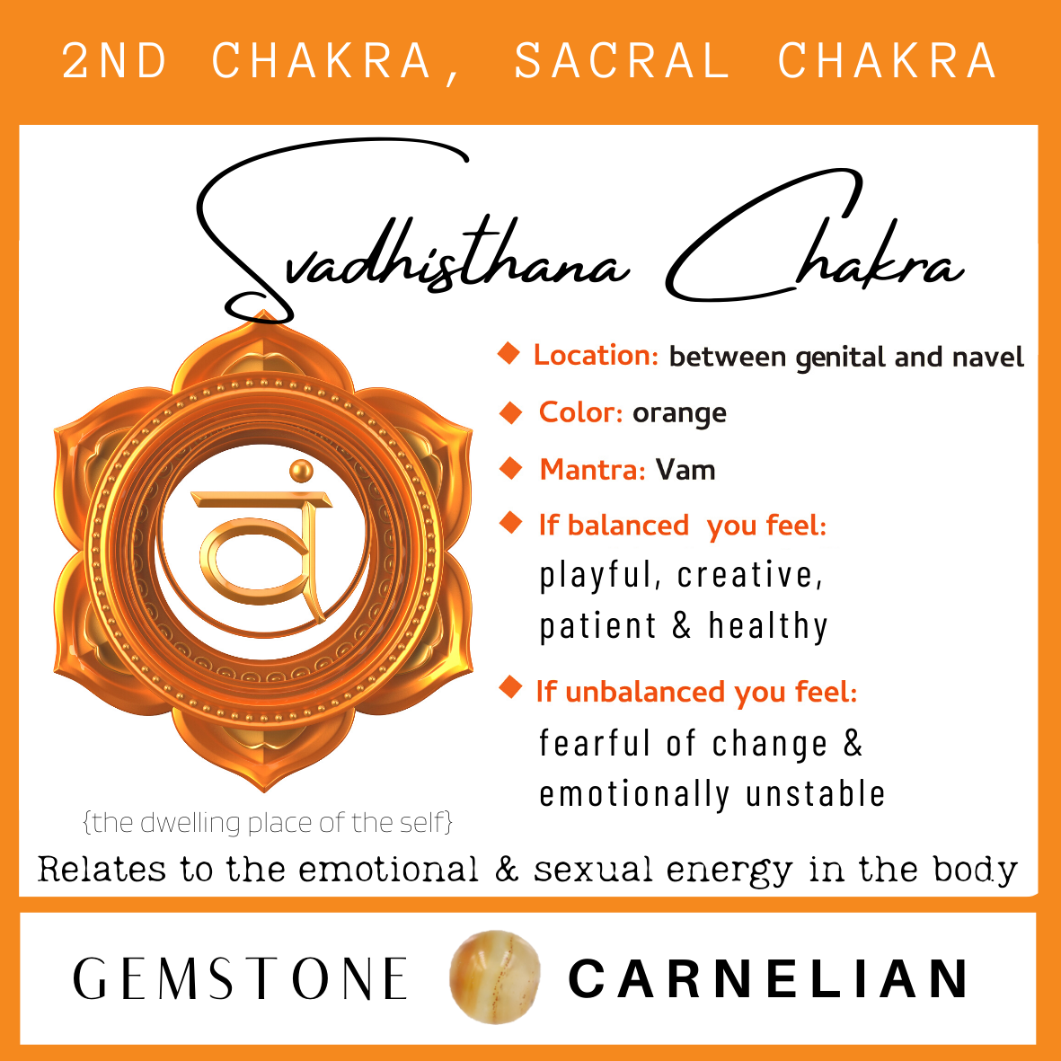 Chakra & Cherry Amber Adult Bracelet