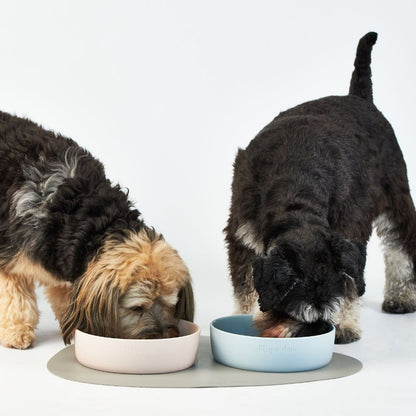 pet bowls