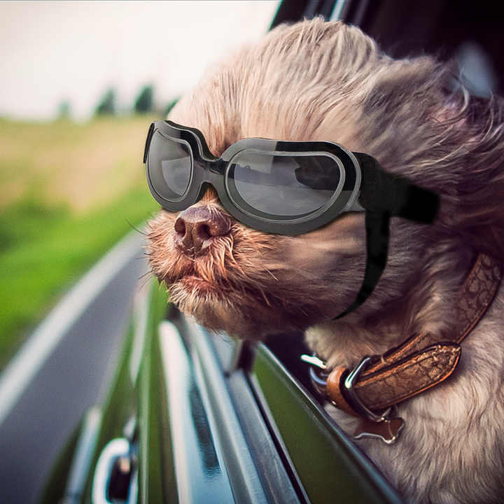 NNEDSZ Blue Lenses Pet Sunglasses for Dogs and Cats – UV Protection, Adjustable Strap, Anti-Wind and Anti-Fog Pet Goggles
