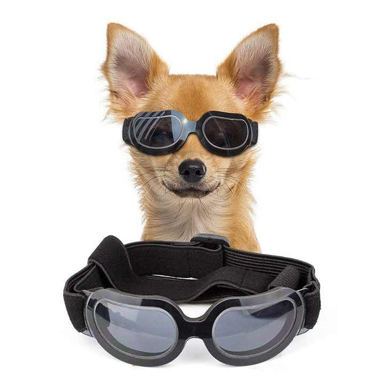 NNEDSZ Black Lenses Pet Sunglasses for Dogs and Cats - UV Protection, Adjustable Strap, Anti-Wind and Anti-Fog Pet Goggles