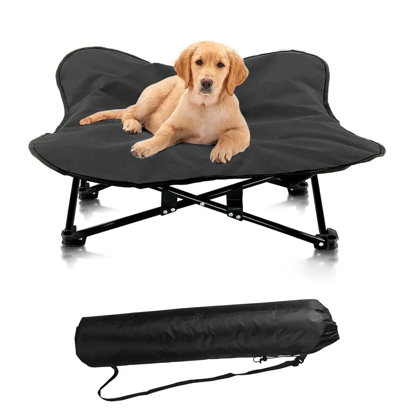 Portable Elevated Dog Bed for All Dog