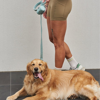 leashes