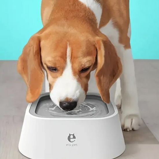 Non-Spill Anti-Splash Pet Water Bowl for Dogs